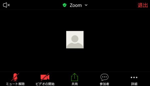 画面 共有 音声 Zoom